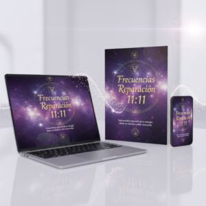 Frecuencia Reparación 11:11